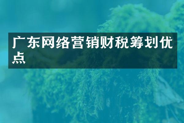 广东网络营销财税筹划优点