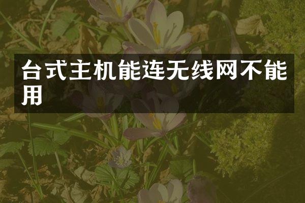 台式主机能连无线网不能用