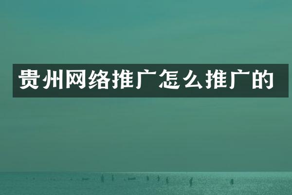 贵州网络推广怎么推广的