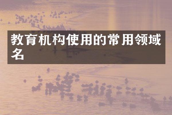 教育机构使用的常用领域名
