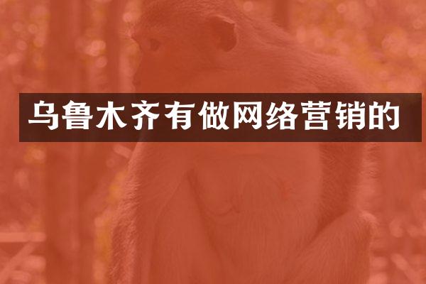 乌鲁木齐有做网络营销的