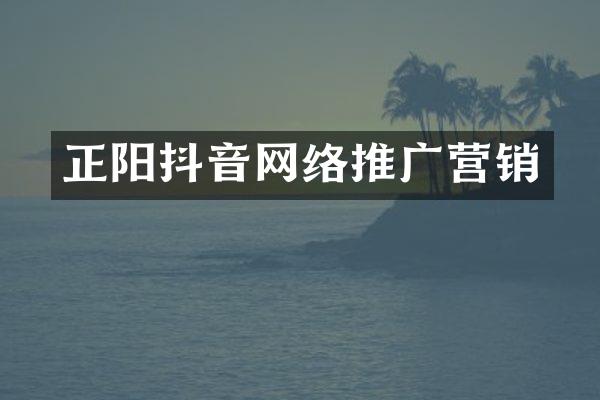 正阳抖音网络推广营销