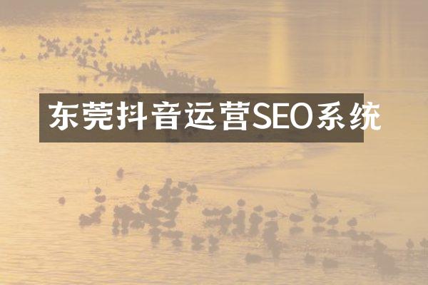 东莞抖音运营SEO系统