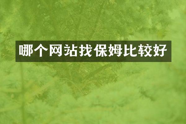 哪个网站找保姆比较好