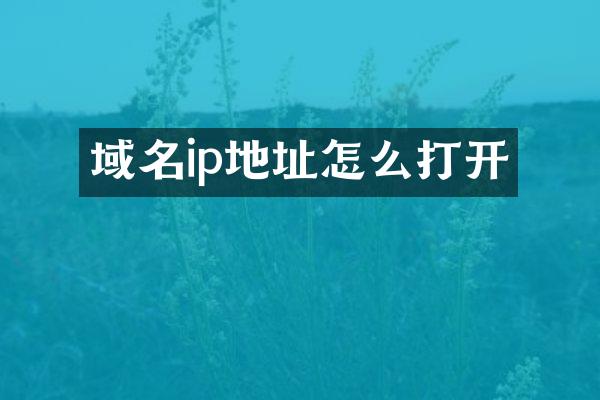 域名ip地址怎么打开