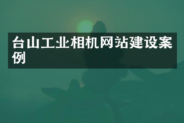 台山工业相机网站建设案例