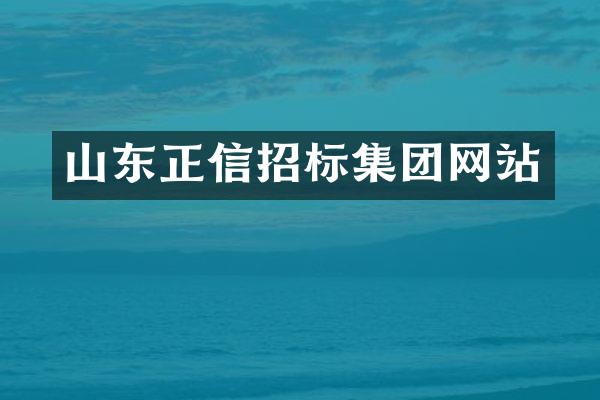 山东正信招标集团网站