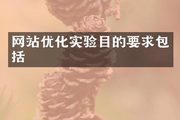 网站优化实验目的要求包括