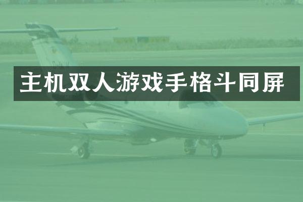 主机双人游戏手格斗同屏