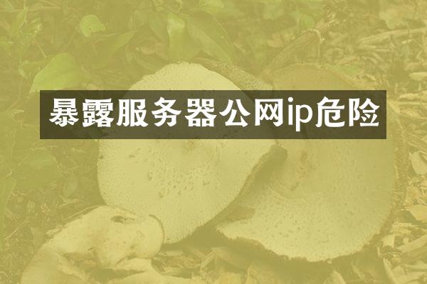 暴露服务器公网ip危险