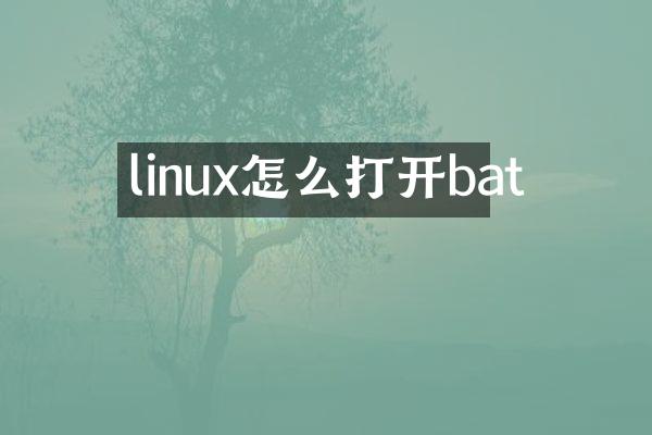 linux怎么打开bat