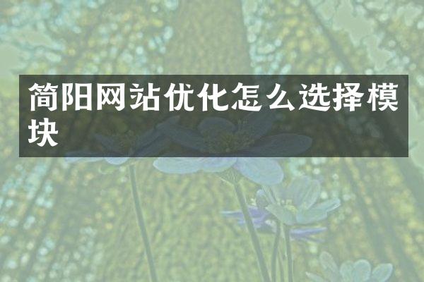 简阳网站优化怎么选择模块