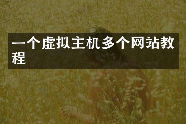 一个虚拟主机多个网站教程