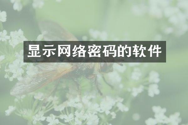 显示网络密码的软件