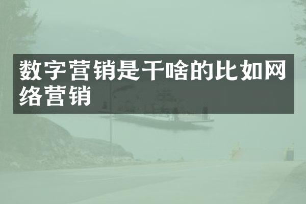 数字营销是干啥的比如网络营销
