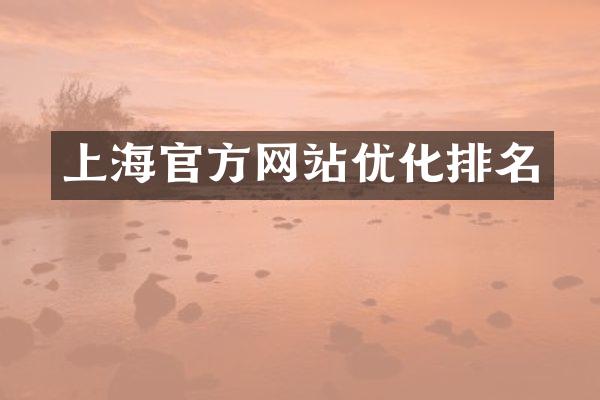上海官方网站优化排名