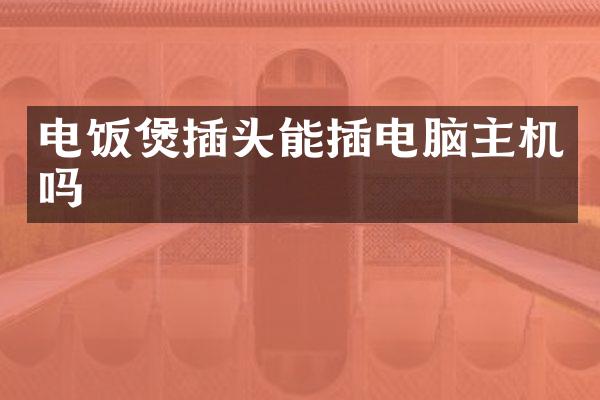 电饭煲插头能插电脑主机吗