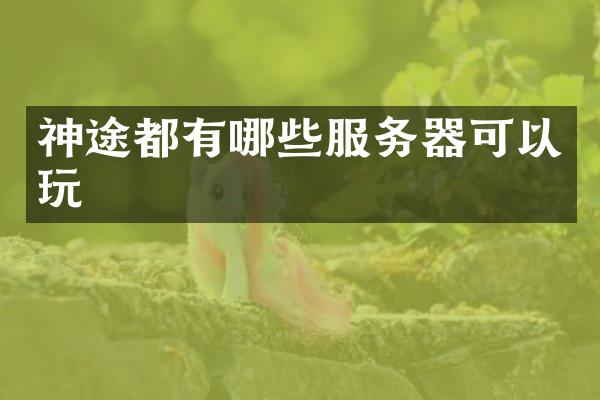 神途都有哪些服务器可以玩