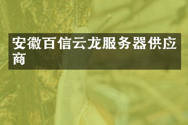 安徽百信云龙服务器供应商