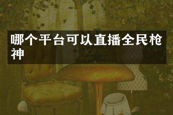 哪个平台可以直播全民枪神