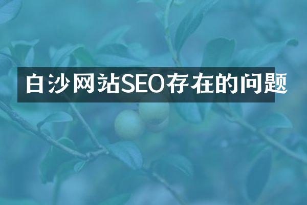 白沙网站SEO存在的问题