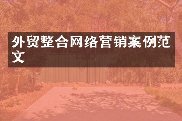 外贸整合网络营销案例范文
