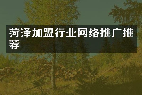 菏泽加盟行业网络推广推荐