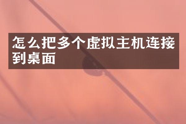 怎么把多个虚拟主机连接到桌面
