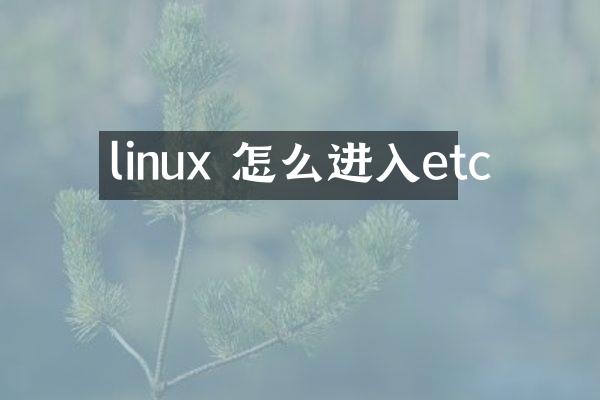 linux 怎么进入etc