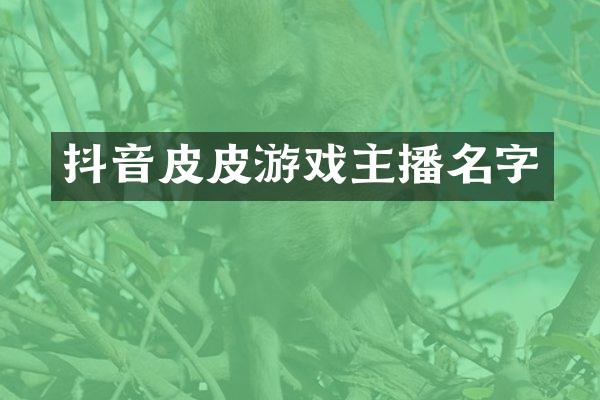 抖音皮皮游戏主播名字