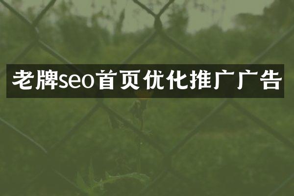 老牌seo首页优化推广广告