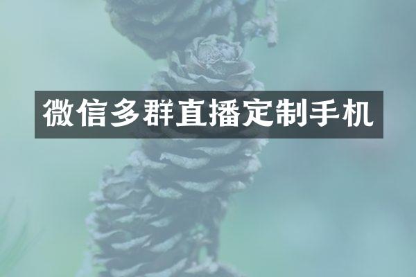 微信多群直播定制手机