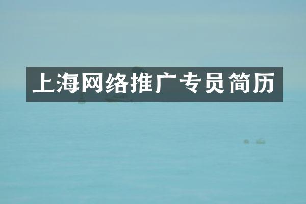 上海网络推广专员简历