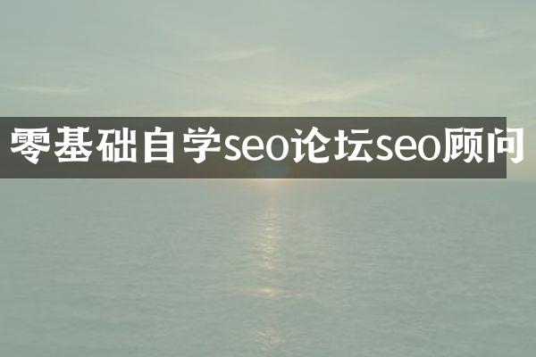 零基础自学seo论坛seo顾问