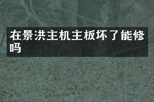 在景洪主机主板坏了能修吗