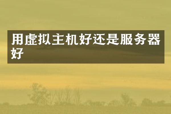 用虚拟主机好还是服务器好