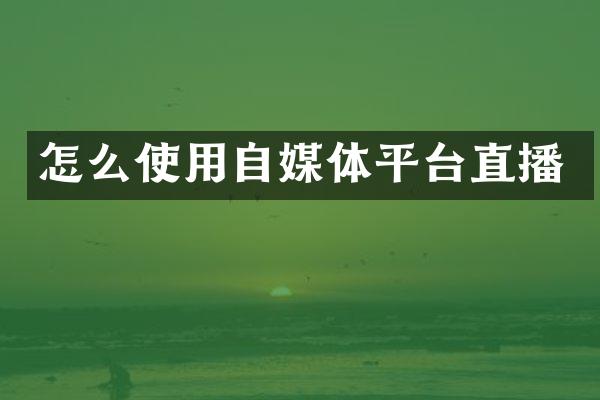 怎么使用自媒体平台直播