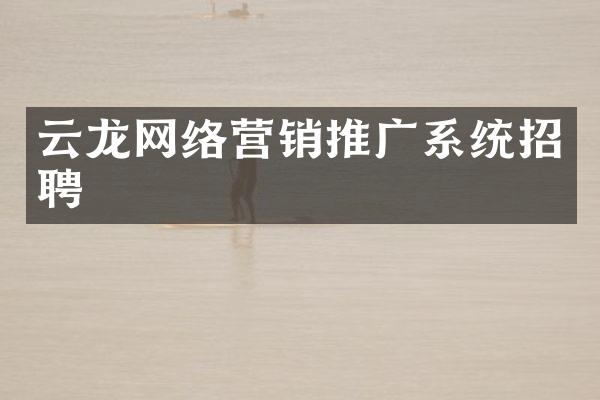云龙网络营销推广系统招聘