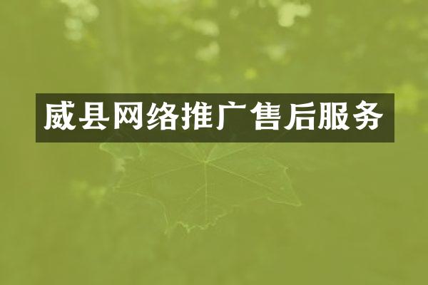 威县网络推广售后服务