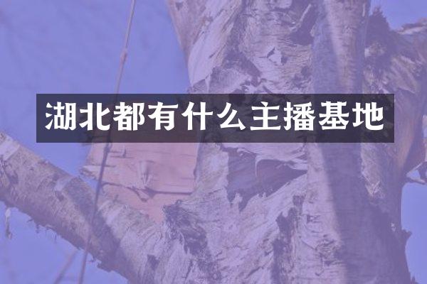 湖北都有什么主播基地