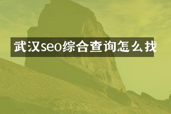 武汉seo综合查询怎么找