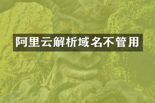 阿里云解析域名不管用