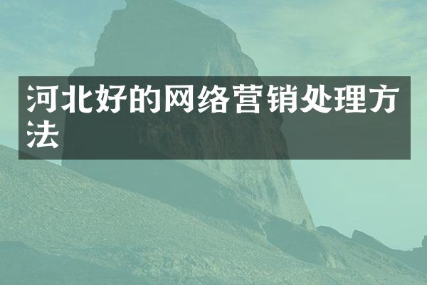 河北好的网络营销处理方法