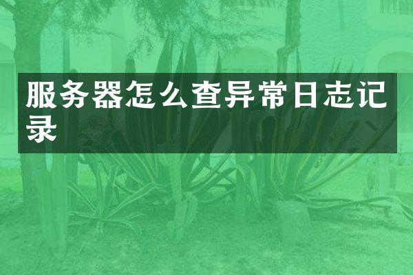 服务器怎么查异常日志记录