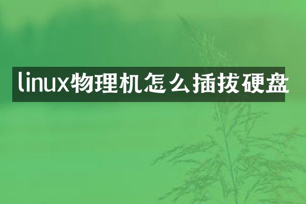 linux物理机怎么插拔硬盘
