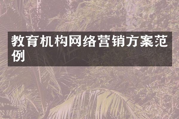 教育机构网络营销方案范例