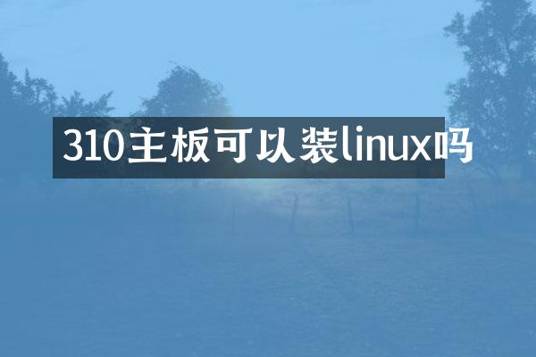 310主板可以装linux吗