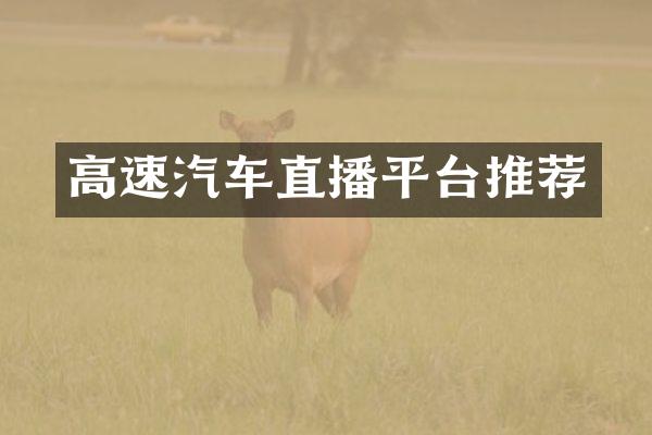 高速汽车直播平台推荐