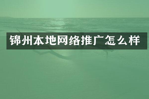 锦州本地网络推广怎么样
