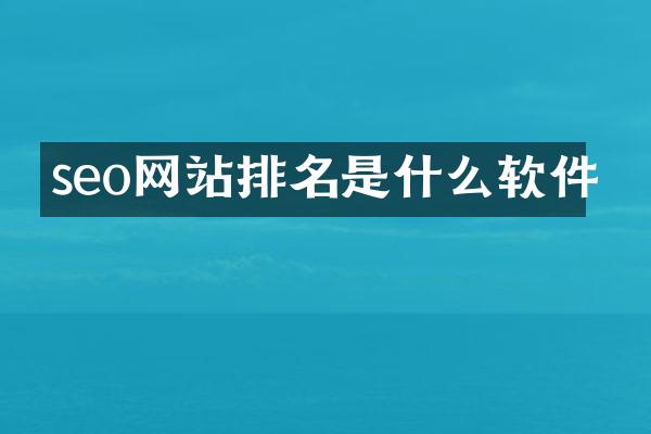 seo网站排名是什么软件